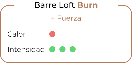 BL-Burn